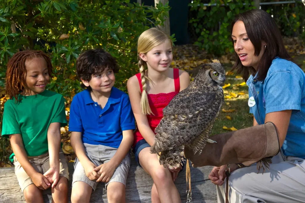 best animal encounters in San Diego for kids