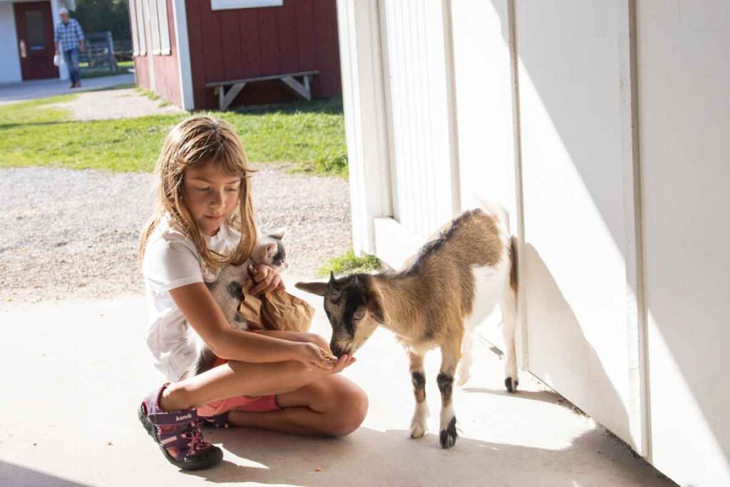 best animal encounters in San Diego for kids