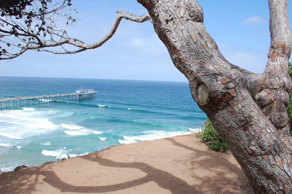Cheapest Time to Visit San Diego
