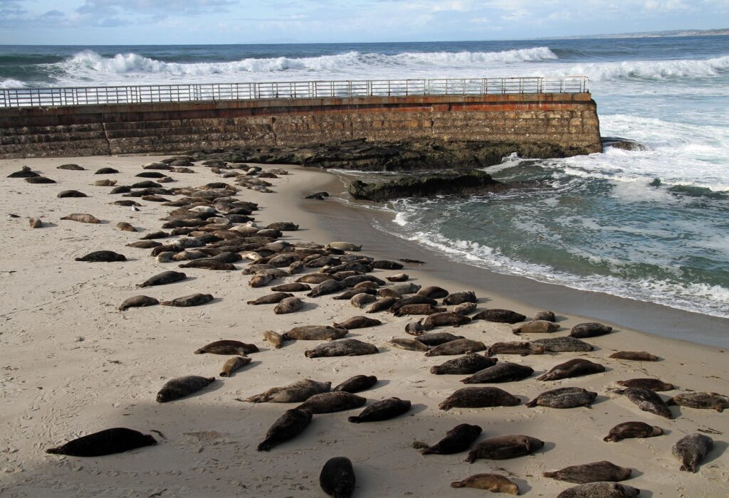 Cheapest Time to Visit San Diego