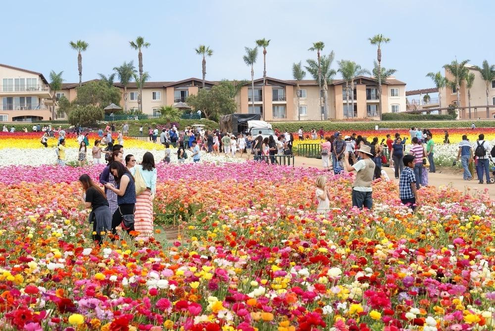 You are currently viewing ☀️ Best Month to Visit San Diego (Avoid Tourist Traps & Save Big!)