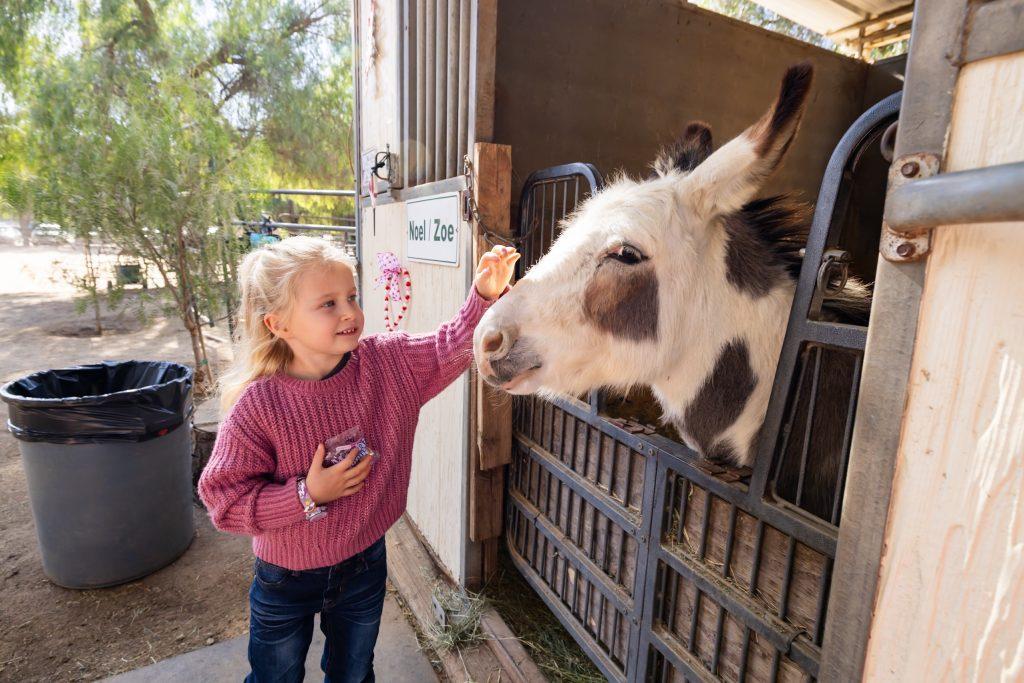 You are currently viewing 🐾 Best Animal Encounters in San Diego for Kids (Petting Zoos & More)