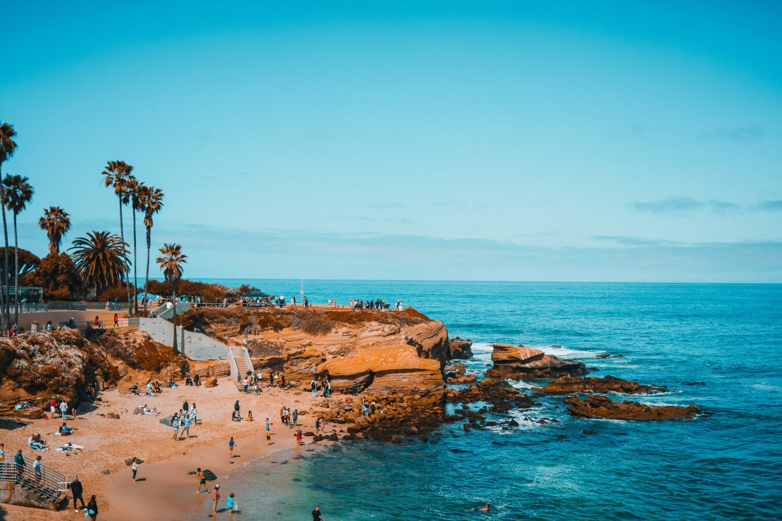 Read more about the article Don’t Visit La Jolla Cove Until You Read This Ultimate Guide (2026)