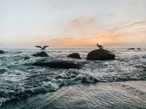 Read more about the article Don’t Visit Coronado Beach Until You Read This Ultimate Guide (2026)