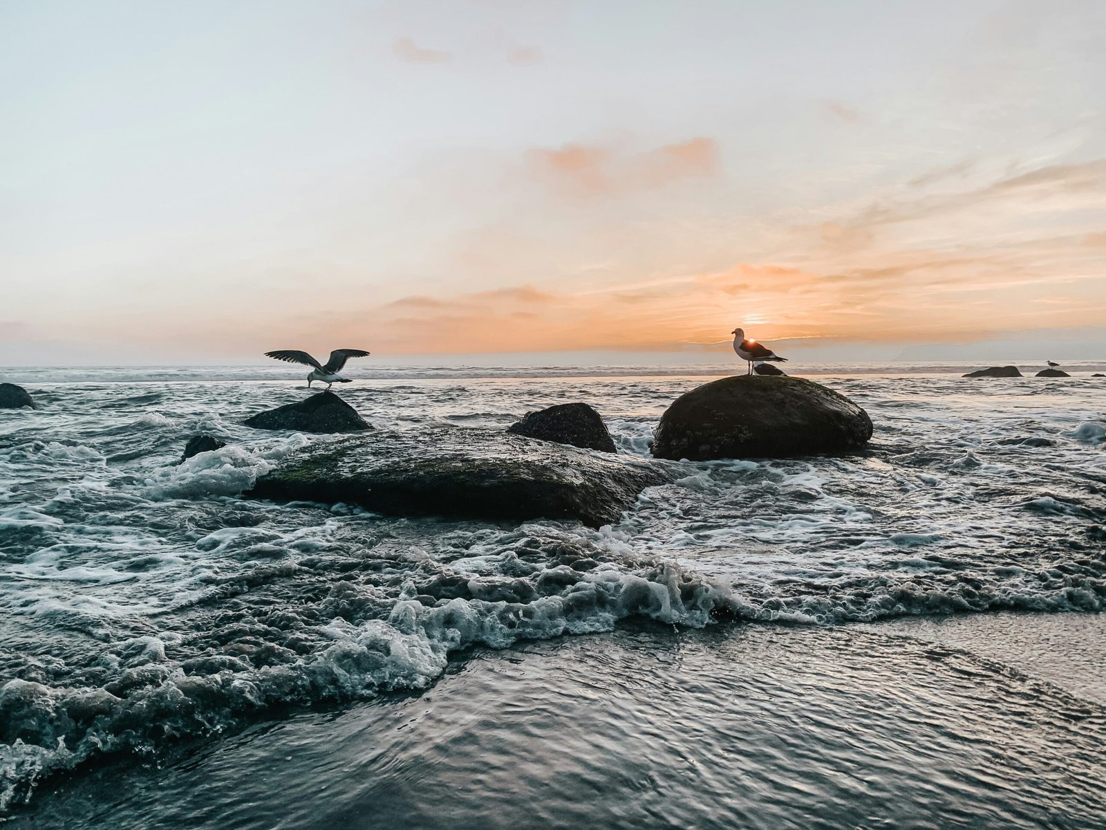 Read more about the article Don’t Visit Coronado Beach Until You Read This Ultimate Guide (2026)